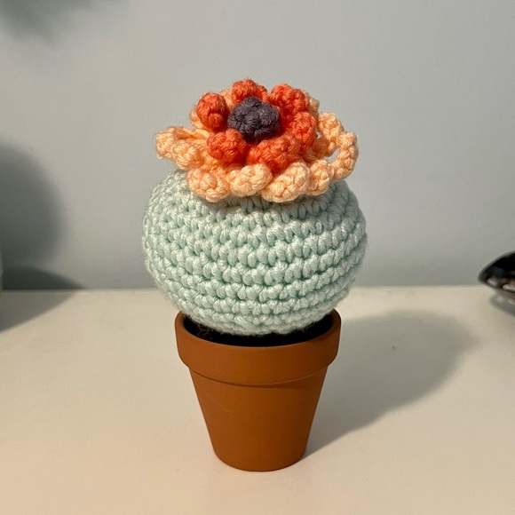 Cactus crochet trio - Picture 4 of 7